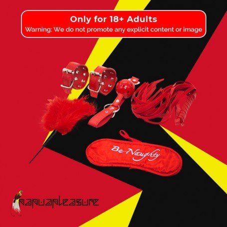 BDSM SEX KIT Bracelet+Whip+Goggles+Feather+Mouth Ball Gag BDSM-001
