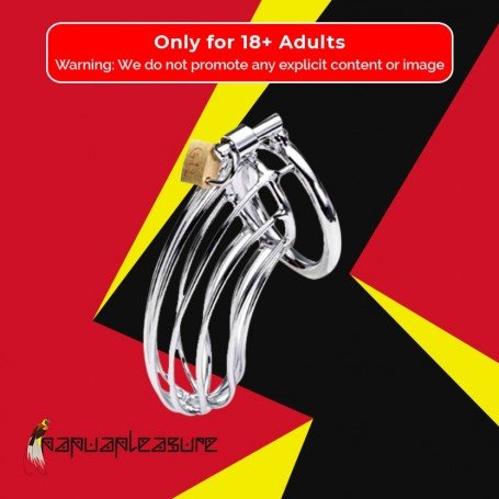 Stainless Steel Iron Wire Male Chastity Lock BDSM-016