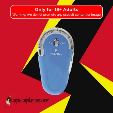 Lady's Lighter Vibrator BV-002