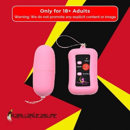 Remote Control Vibrating Egg BV-003