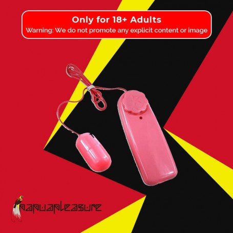 Bullet Vibrator 2 in 1 BV-008