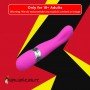 AI QINI NI BEADS STICK BUTTERFLY RABBIT VIBRATOR RV-020
